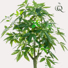 Artificial plant - Pachira Aquatica - Money tree - 150 cm by Green boutiQ