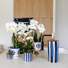 Kolibri Home I Malaga pot - Blue - Ø12cm by Kolibri Company