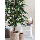 Artificial plant Ficus Green by Mica Decorations