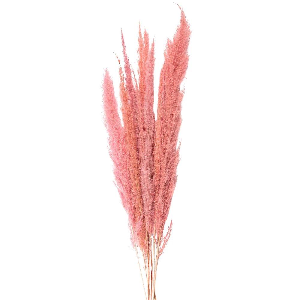 Droogbloemen 100 cm (10) by Clayre & Eef.