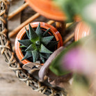 Hummingbird Home | Decorative bowl - Round Willow tray Ø30cm by Kolibri Company