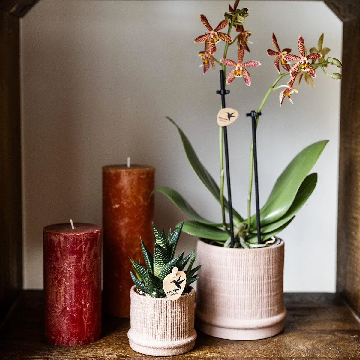 Kolibri Home | Bali sierpot - Sand - Ø9cm by Kolibri Company