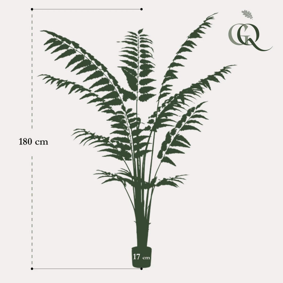 Art Plant - Rumohra Adiantiformis - The Leader Varge - 180 cm by Green boutiQ