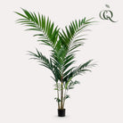 Art plant - Kentia -Kentiapalm - 150cm by Green boutiQ
