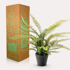 Kunstpflanze – Nephrolepis exaltata – Bostonfarn – 55 cm von Green boutiQ