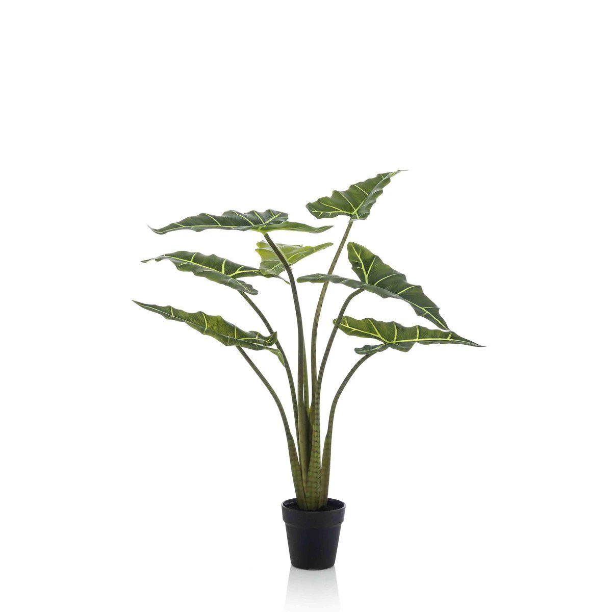 Kunstpflanze – Alocasia Frydek – Elefantenohr – 100 cm von Green boutiQ