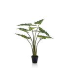 Kunstpflanze – Alocasia Frydek – Elefantenohr – 100 cm von Green boutiQ