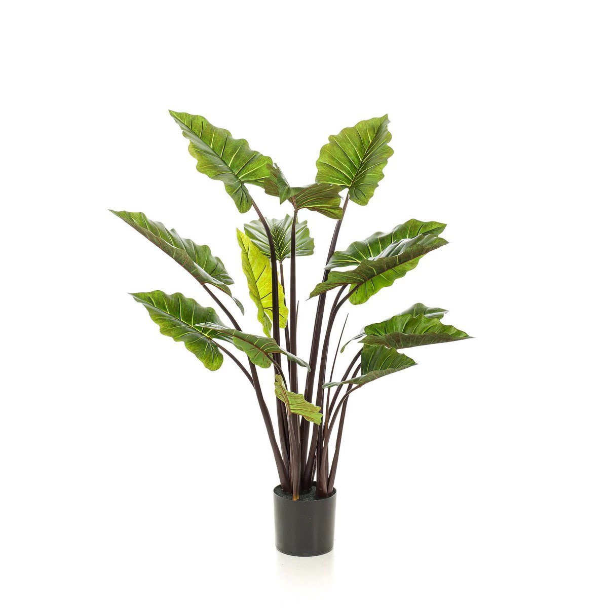 Kunstpflanze – Colocasia Pink China – Elefantenohr – 130 cm von Green boutiQ