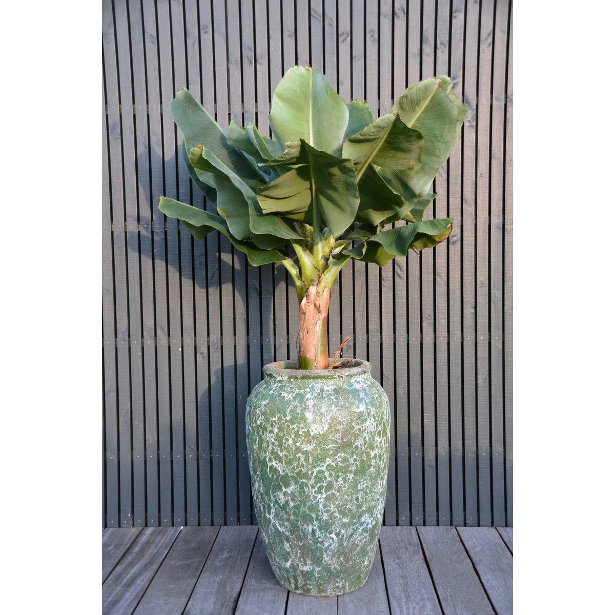 Plantenpot - Ambang relic jade by Vase The World