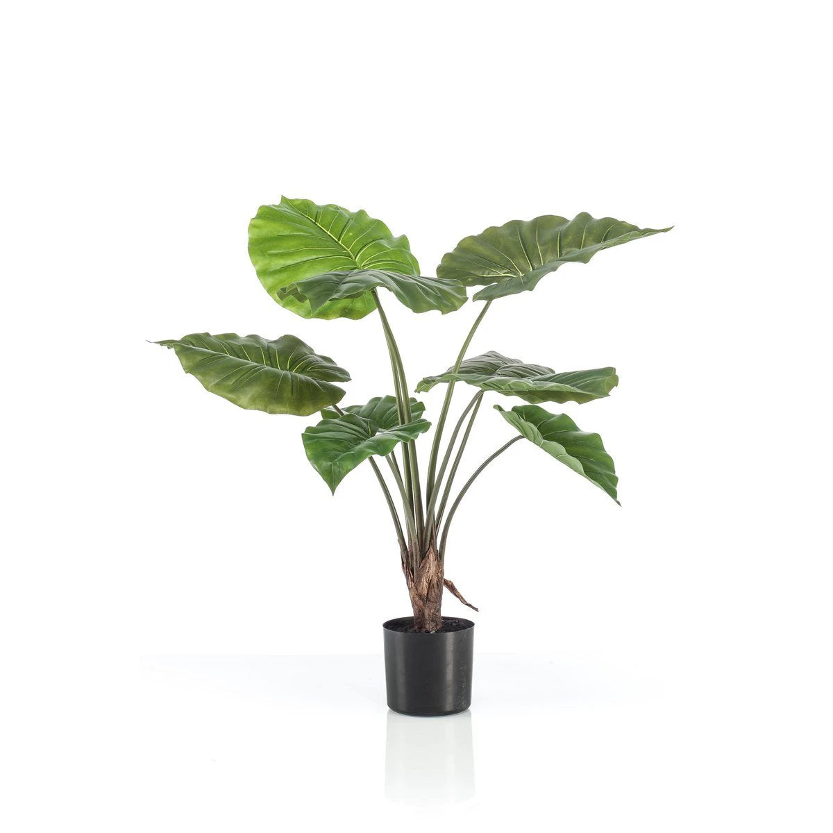 Art plant - Alocasia - Elephants ear - 70 cm by Green boutiQ