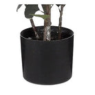 Artificial plant Green by Mica Decorations