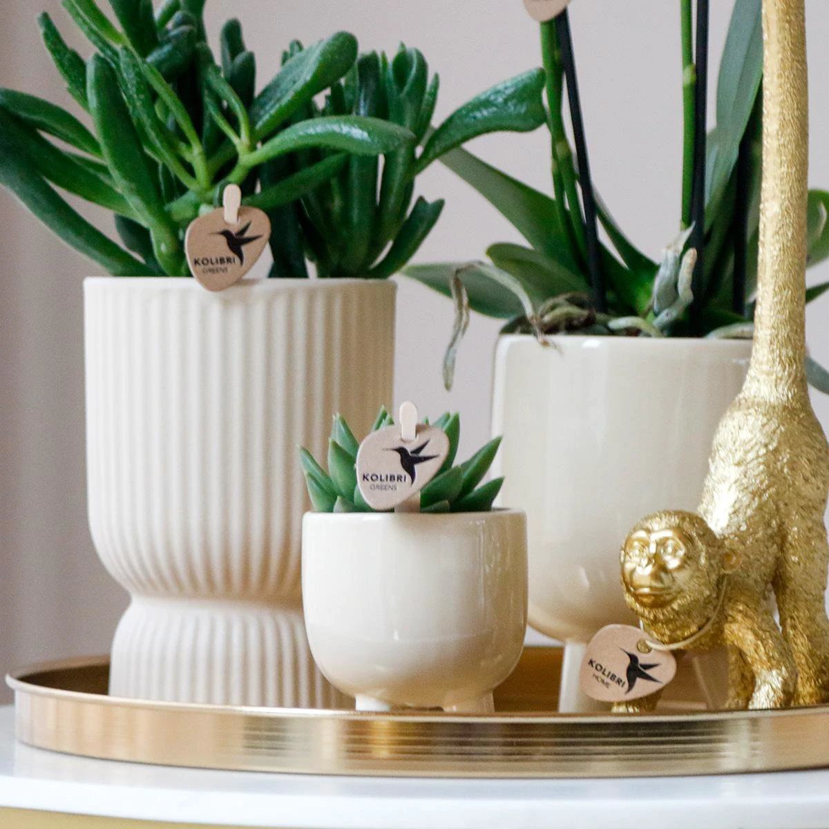 Hummingbird Home | Combi deal - Gummy travertine pots by Kolibri Company