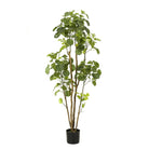Kunstplant - Polyscias - Aralia - 160 cm by Green boutiQ