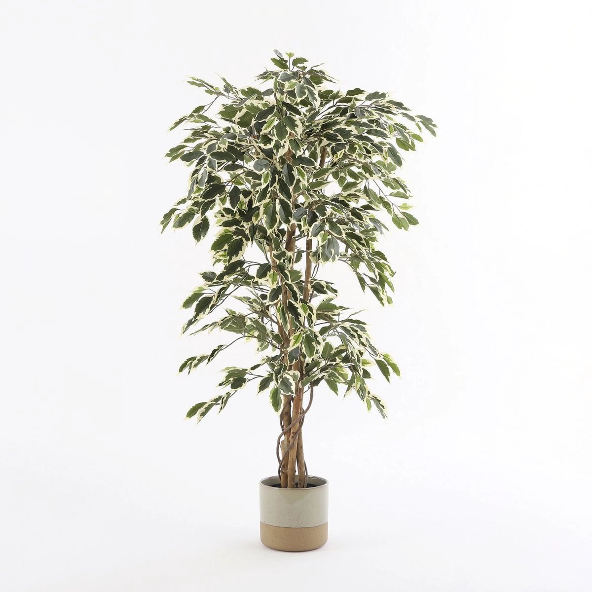 Artificial plant Ficus Green by Mica Decorations