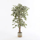 Artificial plant Ficus Green by Mica Decorations
