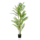 Art plant - Chamaedorea Elegans - Bergpalm - 180 cm by Green boutiQ