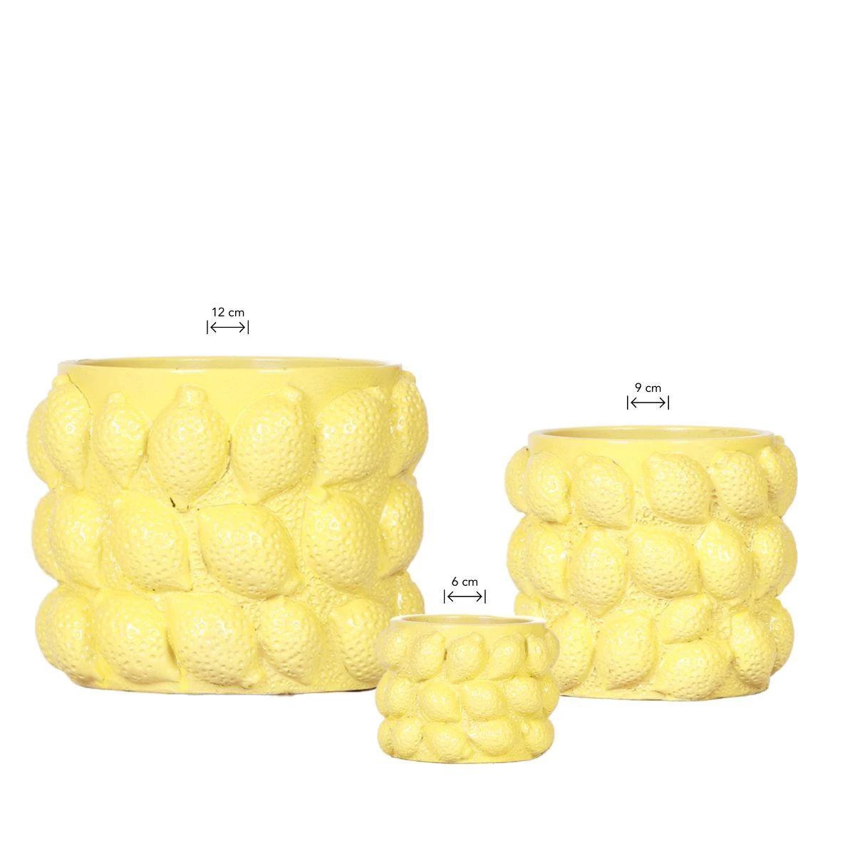 Hummingbird Home | Combi deal - Citrus flower pot - yellow cement decorative pot by Kolibri Company
