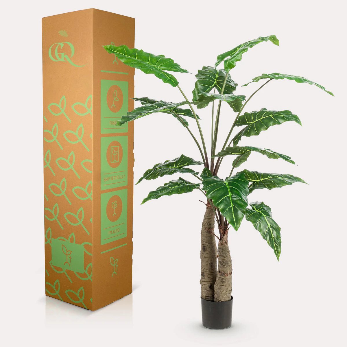 Art plant - Alocasia - Elephants ear - 150 cm by Green boutiQ