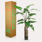 Art plant - Alocasia - Elephants ear - 150 cm by Green boutiQ