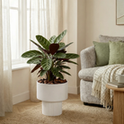 Flowerpot inside Lux Off-white by Mica Decorations