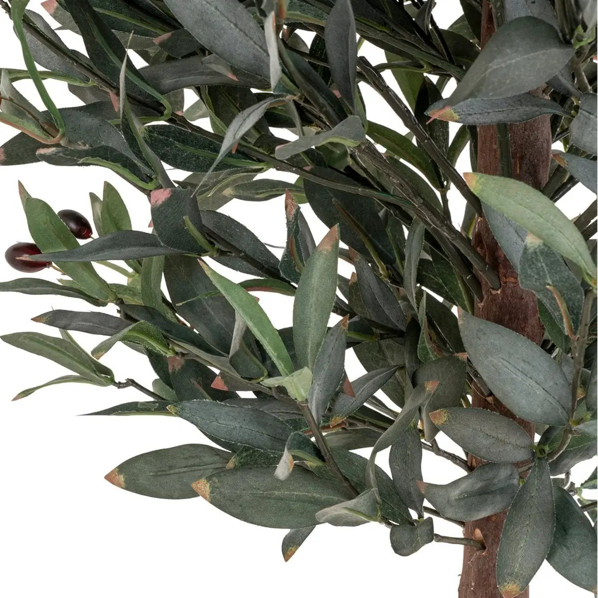 Olive Tree - Green, PE Plastic/Polyester, 58x58x150 cm by EMIRELLE