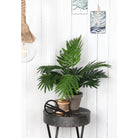 Artificial plant Areca palm Green by Mica Decorations