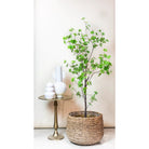 Kunstplant - Tropseolum - Oost Indistent - 210 cm by Green boutiQ