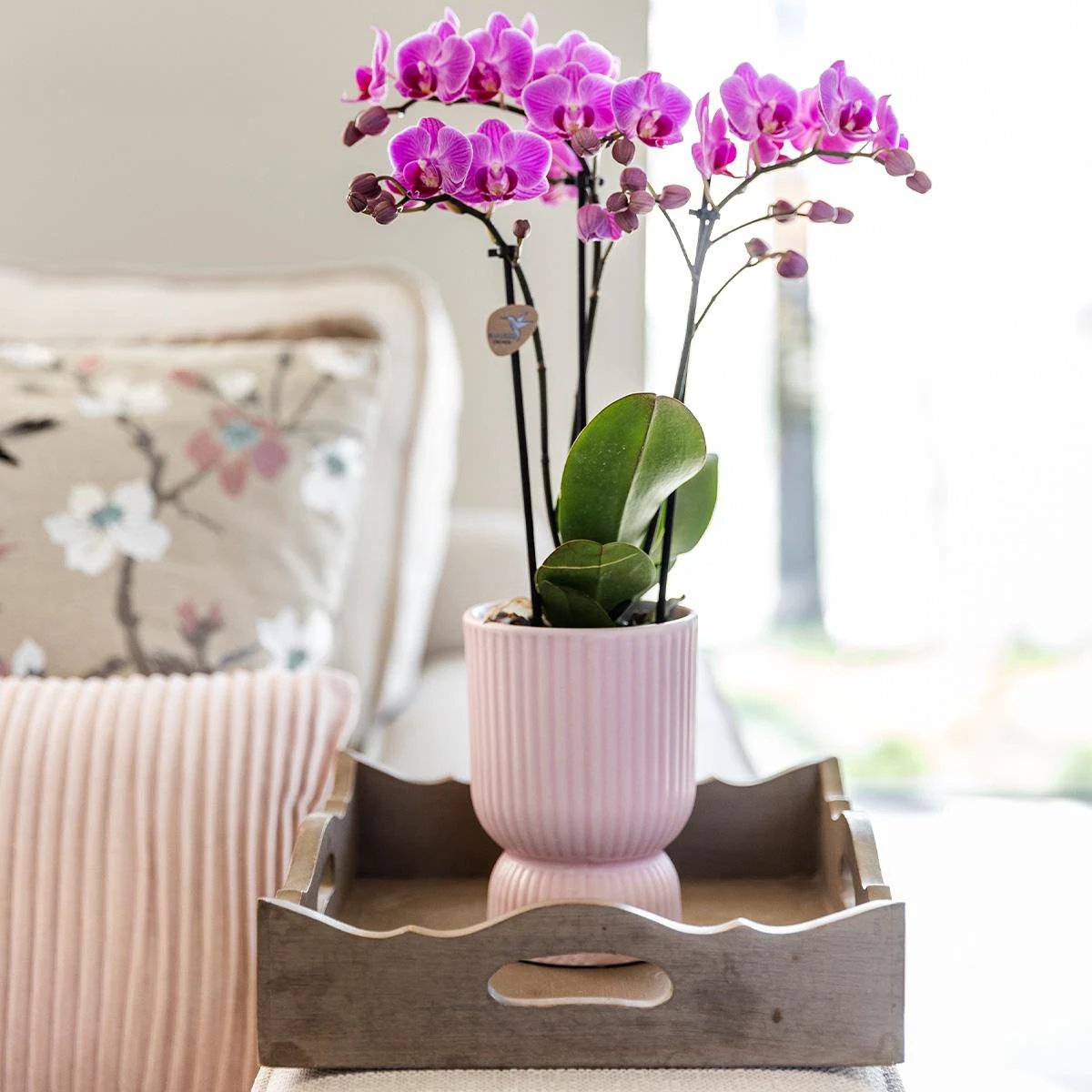 Hummingbird Home | Diabolo pot pink - Ø12cm by Kolibri Company