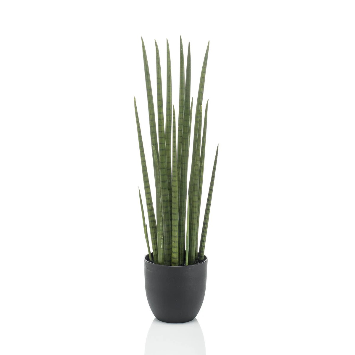 Kunstpflanze – Sanseveria Cylindrica – Bogenhanf – 70 cm von Green boutiQ