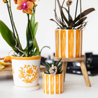 Kolibri Home I Malaga pot - Orange - Ø9cm by Kolibri Company