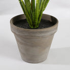 Artificial plant Evergreen Green by Mica Decorations