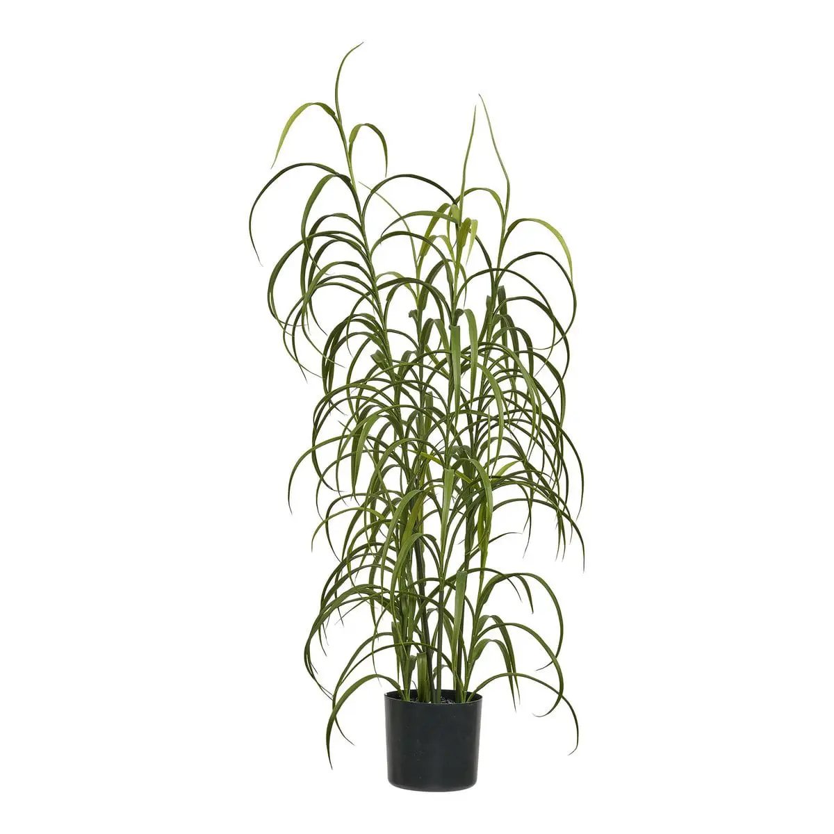 Grass Plant, green, H:68 cm by EMIRELLE