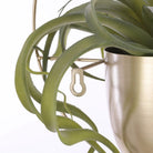 Flowerpot inside wall hanger Dexter Gold by Mica Decorations