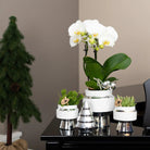 Hummingbird Home | Le Chic flower pot - White ceramic decorative pot with silver details - Ø6cm by Kolibri Company