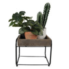 Plantentafeltje 32x26x27 cm by Clayre & Eef.