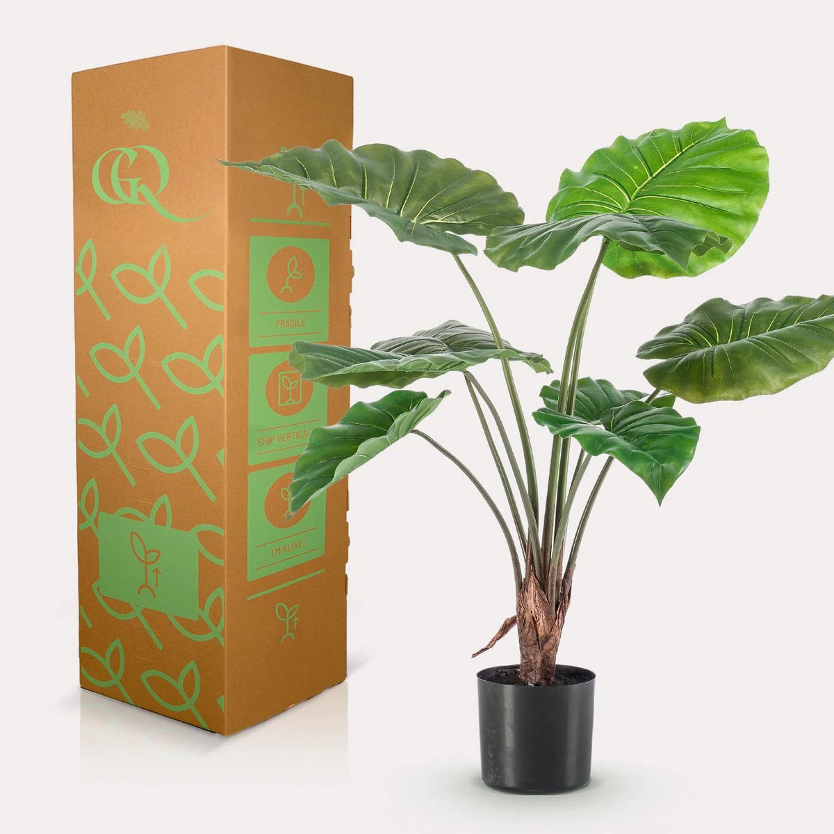 Art plant - Alocasia - Elephants ear - 70 cm by Green boutiQ