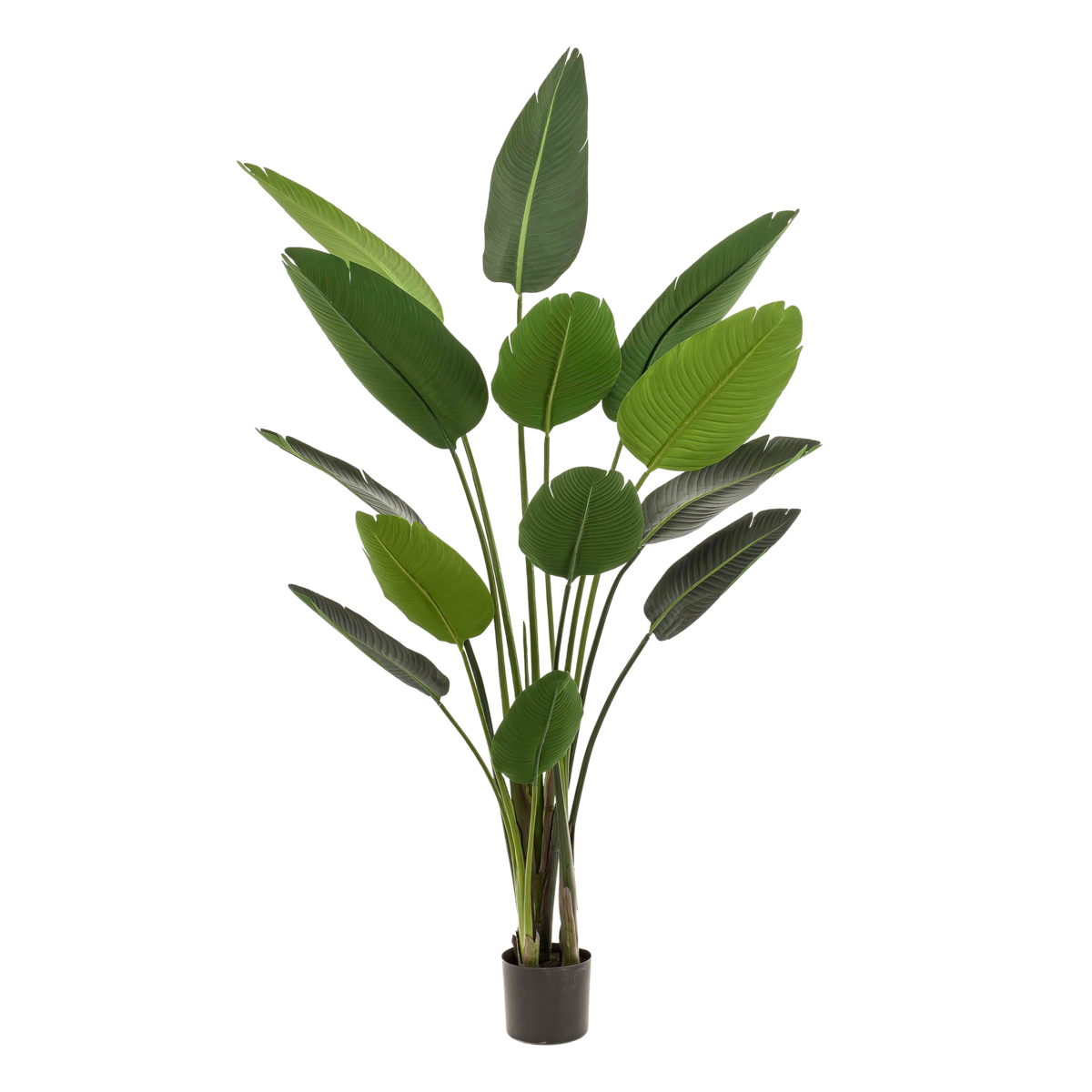 Artificial plant - Strelitzia Nicolai - Bird of Paradise flower - 190 cm by Green boutiQ