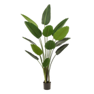Artificial plant - Strelitzia Nicolai - Bird of Paradise flower - 190 cm by Green boutiQ