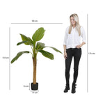 Artificial plant Green by Mica Decorations