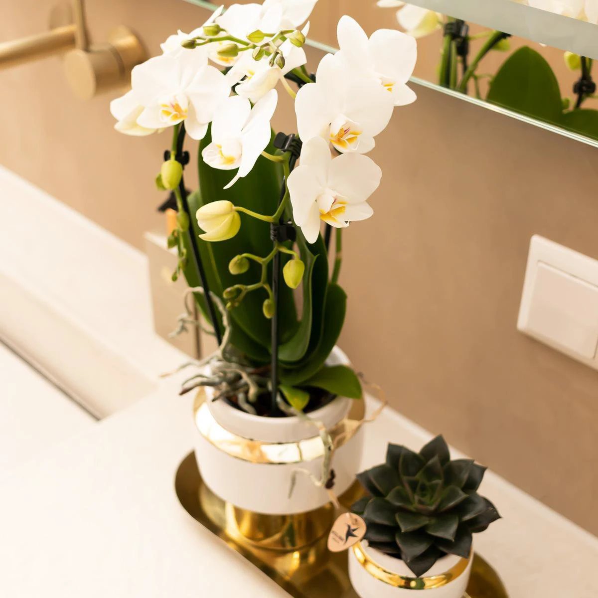 Hummingbird Home | Le Chic flower pot - White ceramic decorative pot with gold details - Ø6cm by Kolibri Company