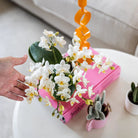 Kolibri Orchids | Witte phalaenopsis orchidee - Nazaré - potmaat Ø9cm | bloeiende kamerplant - vers van de kweker by Kolibri Company