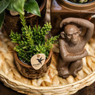 Hummingbird Home | Ornament - Decoration statue Sitting Monkey - Brown by Kolibri Company