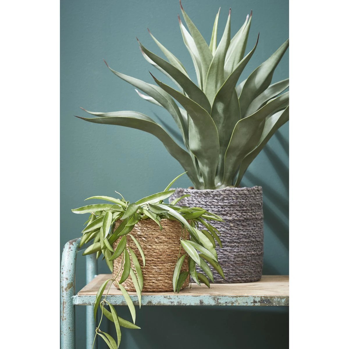 Plant basket set Atlantic Light brown by Mica Decorations