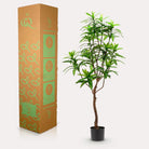 Art plant - Dracaena - Dragon tree - 130 cm by Green boutiQ