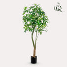 Artificial plant - Pachira Aquatica - Money tree - 180 cm by Green boutiQ