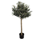 Artificial Olive Tree 45x45x120 cm Green Plastic by Clayre & Eef.