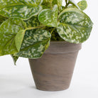 Artificial hanging plant Scindapsus Green by Mica Decorations