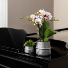 Kolibri Home | Groove Flowerpot - Silver Ceramic Sierpot - Ø9cm by Kolibri Company