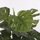 Artificial plant Monstera green by Mica Decorations