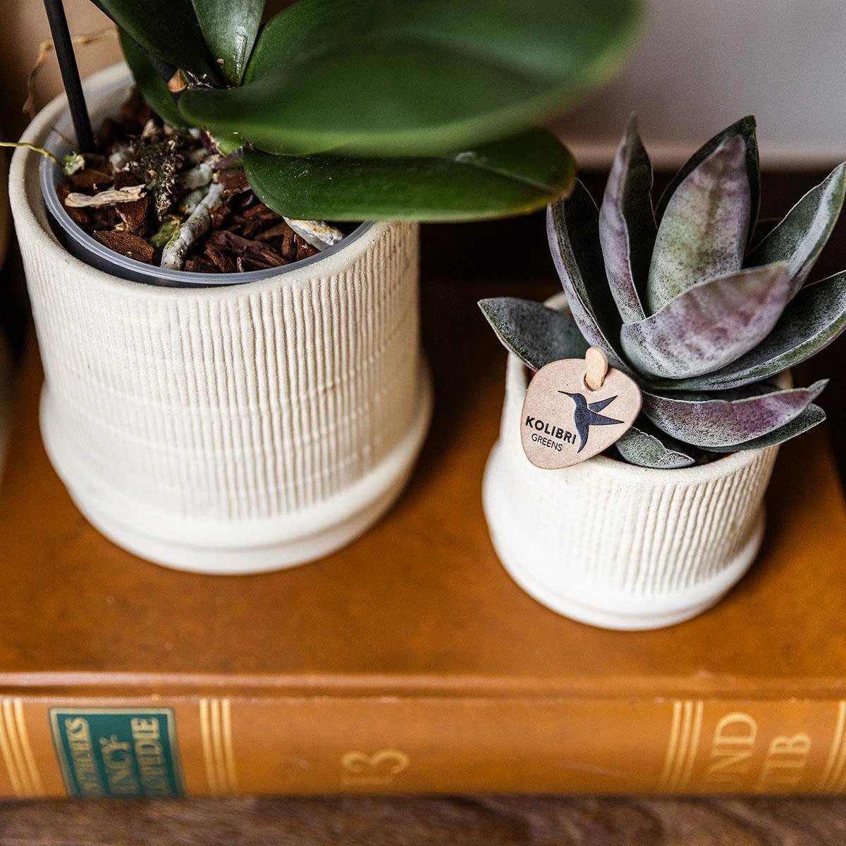 Hummingbirds Home | Bali sierpot - Off White - Ø6cm by Kolibri Company